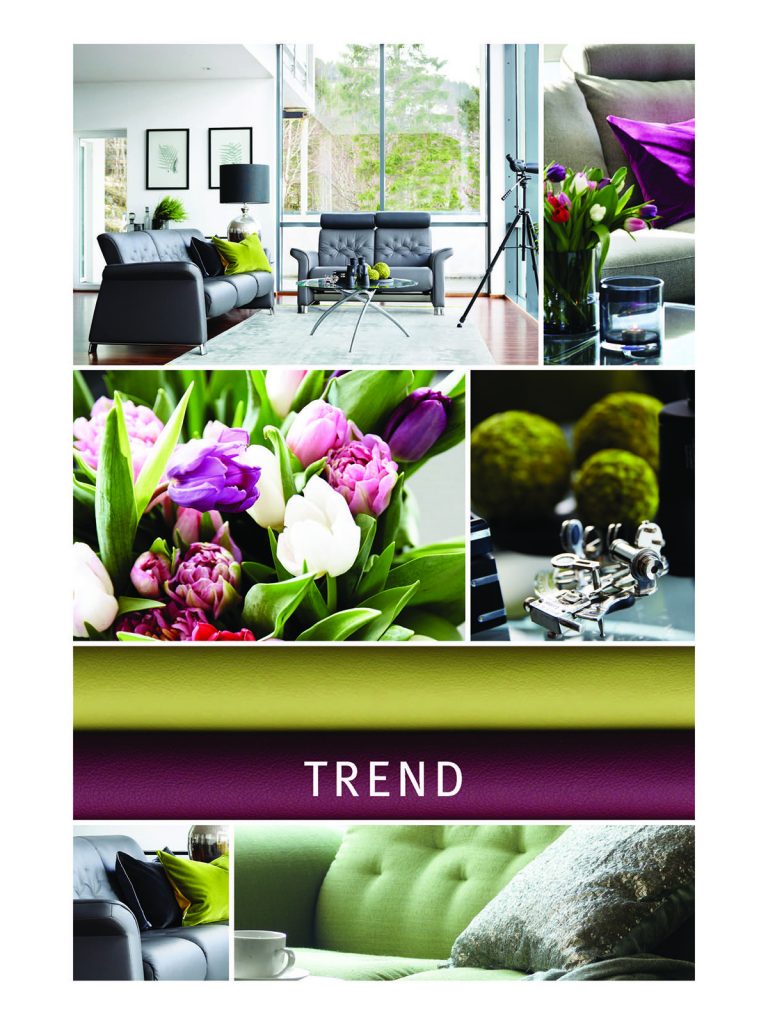 Die trendige Farbkombination von Lila und Grün verleiht jeder Wohnung eine natürlich-harmonische Atmosphäre.