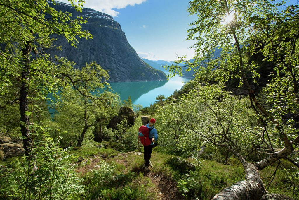 Norwegen, Wandern, Sommer, Natur, Fjord