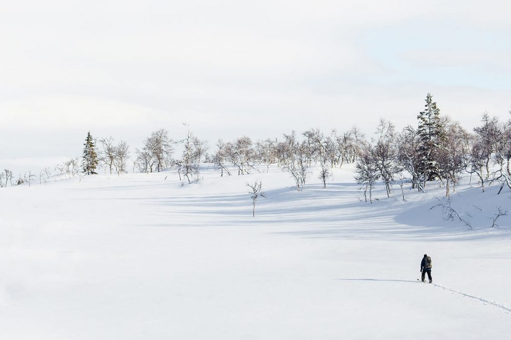 In Norwegen hat Langlauf Tradition, auch wenn sich das alpine Skifahren weltweit mehr durchgesetzt hat. 