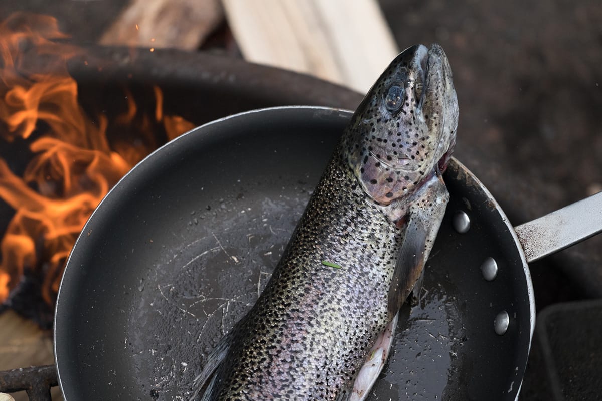 Am leckersten schmeckt der Fisch, den man beim Angeln in Norwegen gefangen hat, wenn man ihn gleich frisch zubereitet und am Lagerfeuer grillt.